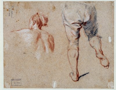 解剖学の研究 ニコラ・ヴルーゲルス（1668-1737）による油彩画 18世紀 パリ、ルーヴル美術館 作： Nicolas Vleughels