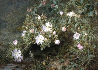 犬の薔薇の習作」1900年頃（油彩・キャンバス） 作： Niels Pieter Rasmussen