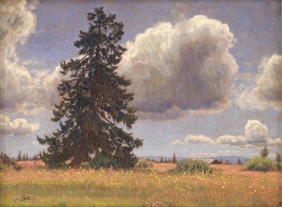 夏の牧草地のトウヒ。 ノルウェー 作： Niels Skovgaard