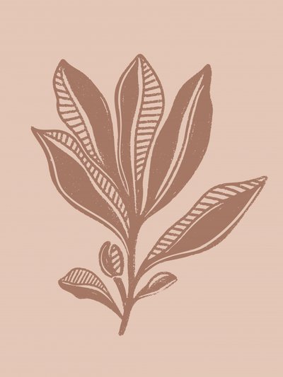 自然植物画 作： Nikita Jariwala