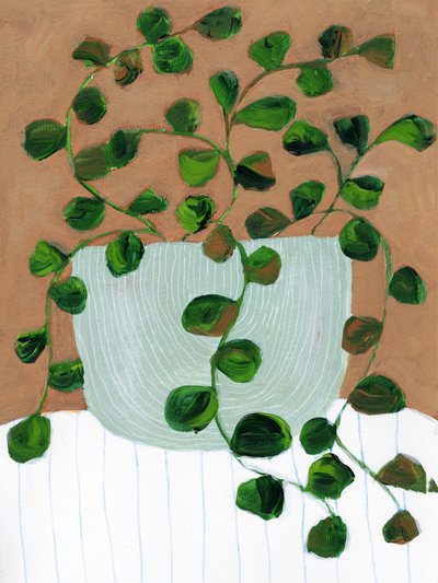 温かい観葉植物の鉢 作： 