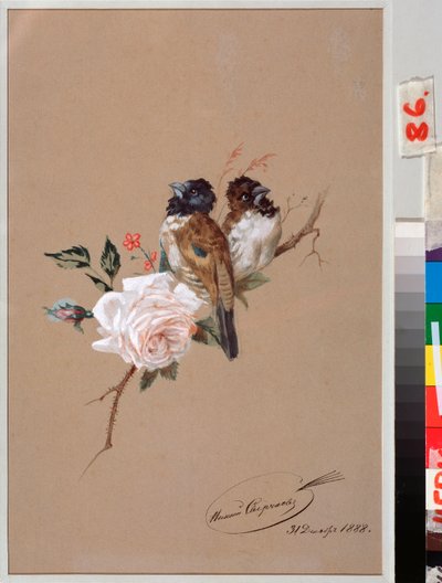 バラの上の二羽の鳥 - ニコライ・イェゴロヴィッチ・スヴェルチコフ (ニコラス・スヴェルチコフ) (1817-1898) の作品、紙に水彩、インク 作： Nikolai Egorevich Sverchkov