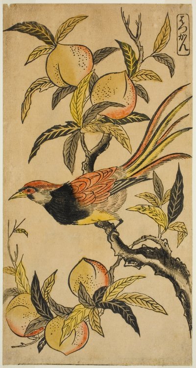 銀雉（はっかん） 作： Nishimura Shigenaga