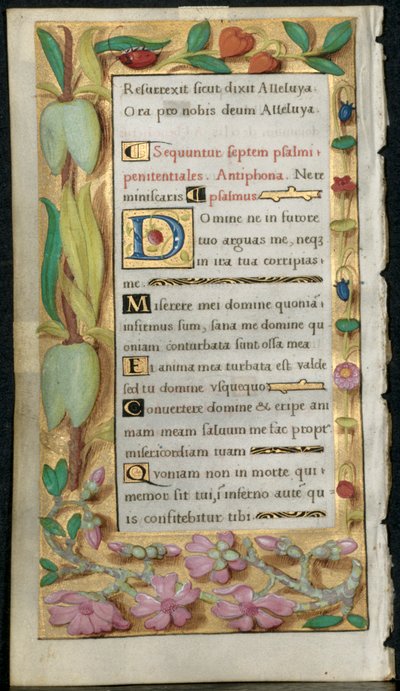 1時間の書物からの葉：刑務所詩篇c。 1530-1535。 作： Noel Bellemare
