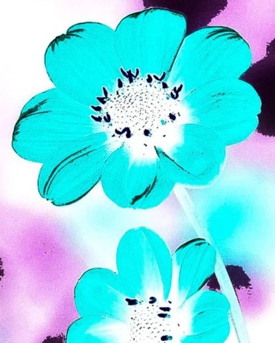青い花 作： Nomi Morina