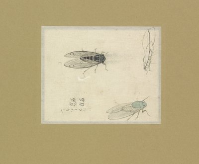ハエの 3 つの研究 作： Nonoyama Kozan (possibly)