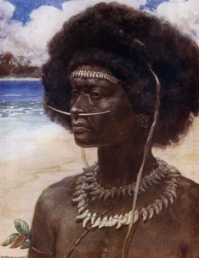 A New Guinea Dandy（カラーリトグラフ 作： Norman Hardy