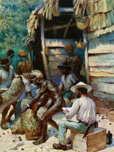 南海島の商人と彼の象牙の実の袋、1908年 作： Norman Hardy