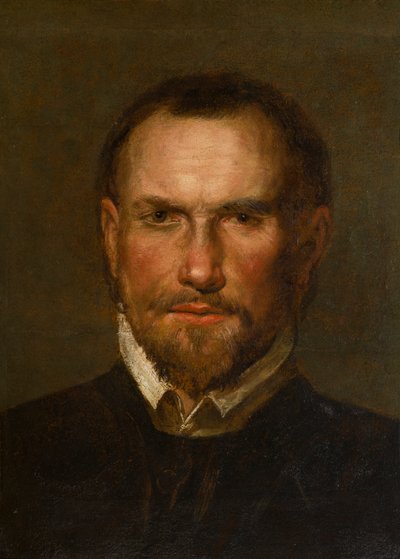 未知のひげを生やした男の肖像、1501-99年頃（パネルに油と紙が置かれている） 作： Northern Italian School