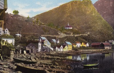 ノルウェーメロク（カラー写真） 作： Norwegian Photographer