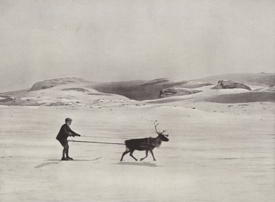 山でのトナカイのスキードライブ 作： Norwegian Photographer