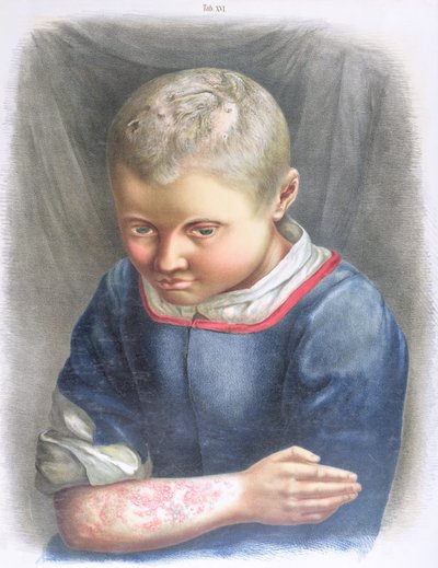 ダニエル・コルネリウス・ダニエルセン（1815-94）1892の本からのお気に入り 作： Norwegian School