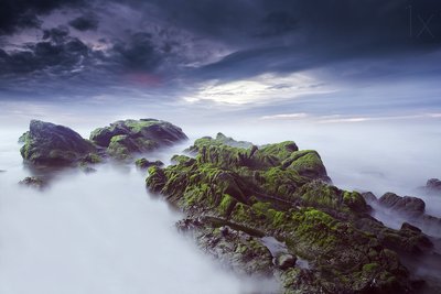 幻想的な苔むした海辺の風景 作： Nuno Araujo