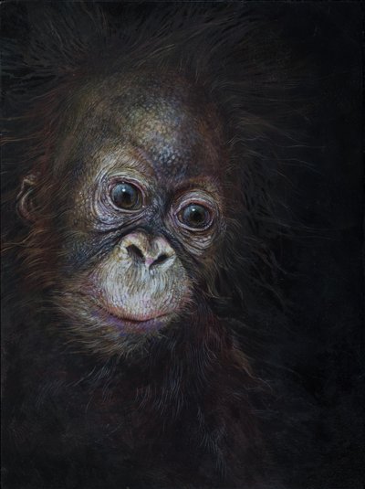 オランウータンの赤ちゃん 3, 2015 (アクリル、木) 作： オディール・キッド