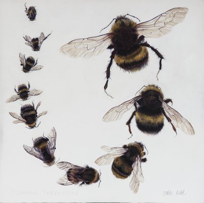 Bombus, 2015（ジェッソを塗った木にアクリル絵具） 作： オディール・キッド