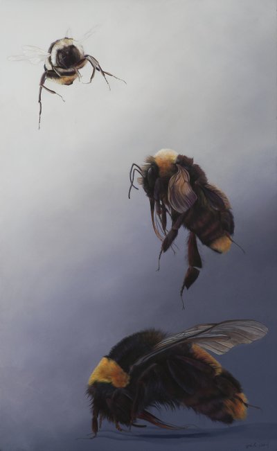 Bombus flight 2, 2011（アクリル、木） 作： オディール・キッド