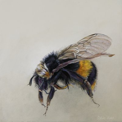 Bombus terrestris 1 (a), 2008 (アクリル、木) 作： オディール・キッド