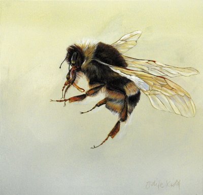 Bombus terrestris 4, 2011 （アクリル、木） 作： オディール・キッド