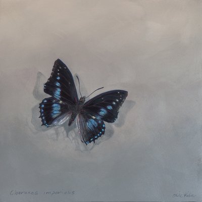 Charaxes imperialis 1 (a), 2014 (アクリル、木) 作： オディール・キッド