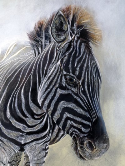 Equus burchelli 1 (詳細), 2009 (木炭、コンテ、チョークパステル、ボッキングフォード紙) 作： オディール・キッド