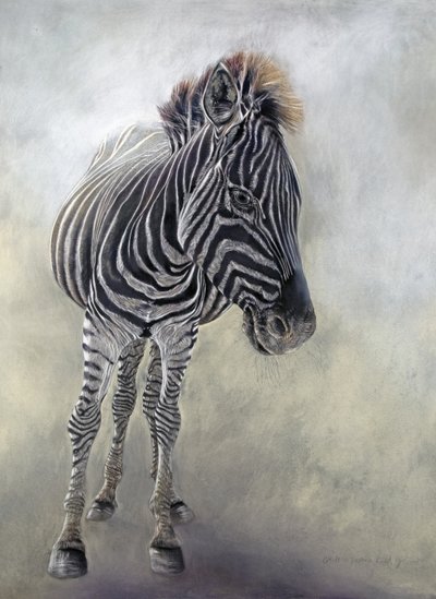 Equus burchelli 1, 2009 （木炭、コンテ、チョークパステル、ボッキングフォード紙） 作： オディール・キッド