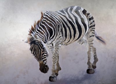 Equus burchelli 2, 2010（キャンバスにアクリル絵の具） 作： オディール・キッド