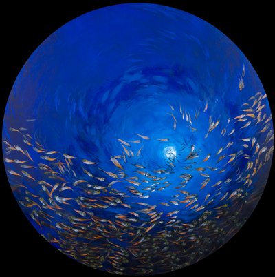 ガラスの魚 2, 2009 (アクリル、リネン、木) 作： オディール・キッド