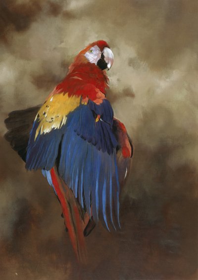 スカーレット・コンゴウインコ 1, 2000 （アクリル、リネン） 作： オディール・キッド