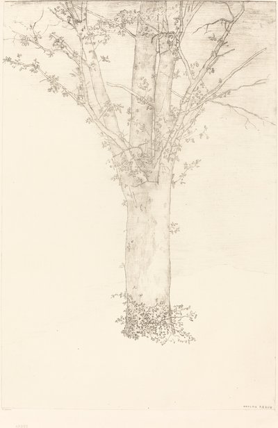 木 作： Odilon Redon