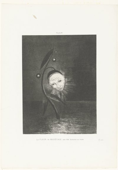 沼の花、人間と悲しい頭 La FLEUR du MARÉCAGE une tête humanine et triste (オブジェクトのタイトル) 作： Odilon Redon