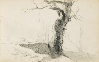 「バスクの国」というタイトルのアルバムからの描画、1862〜63 作： Odilon Redon