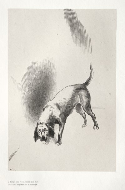 妙な表情で僕を見つめる彼 作： Odilon Redon