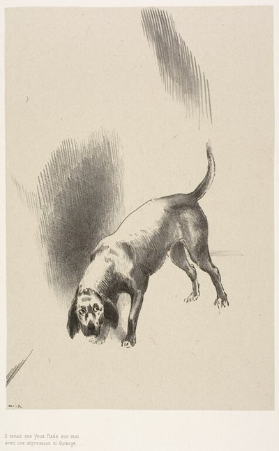 彼［ナレーターの犬］はとても奇妙な目つきで私を見つめ続けていた。 作： Odilon Redon