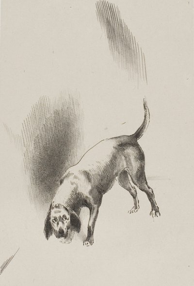 彼［ナレーターの犬］はとても奇妙な目つきで私を見つめ続けていた。 作： Odilon Redon