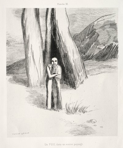 ゴヤへのオマージュ：悲惨な風景の狂人、1885年。 作： Odilon Redon