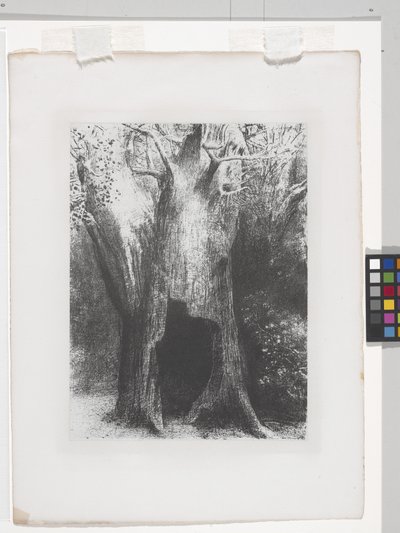 I Sunk Into Solitude (チンアップリケ紙にリトグラフ) 作： Odilon Redon