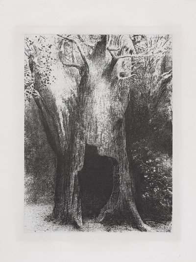 Vapauduin yksinäisyyteen 作： Odilon Redon