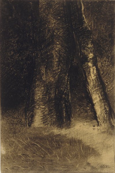 樹木のスケッチ 作： Odilon Redon