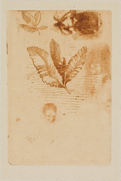 スケッチ 作： Odilon Redon