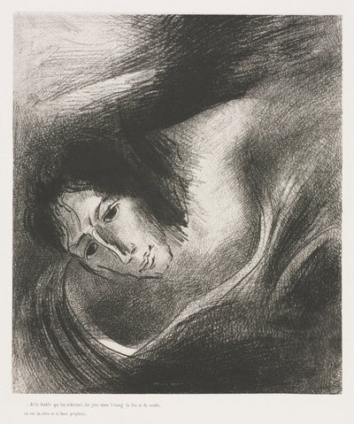 セントジョンの黙示録：そして、それらを欺いた悪魔が湖に投げ込まれた、1899年。 作： Odilon Redon