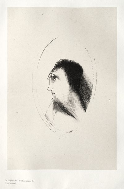 前頭骨の幅と平坦度 作： Odilon Redon