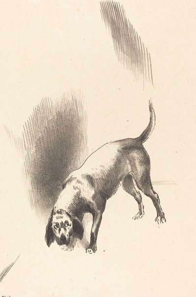 犬 作： Odilon Redon