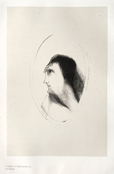 お化け屋敷：前頭[骨]の幅と平坦さ、1896年。 作： Odilon Redon
