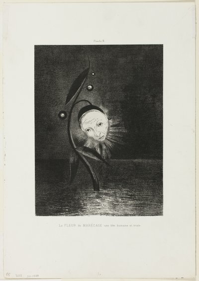湿地の花、悲しい人間の頭、プレート 2/6 作： Odilon Redon