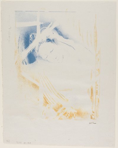 T in スラミ 作： Odilon Redon
