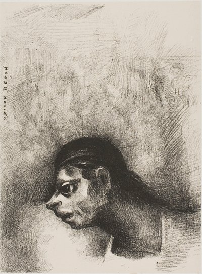 陪審員』より「壁のひび割れから死者の頭部が映し出された 作： Odilon Redon