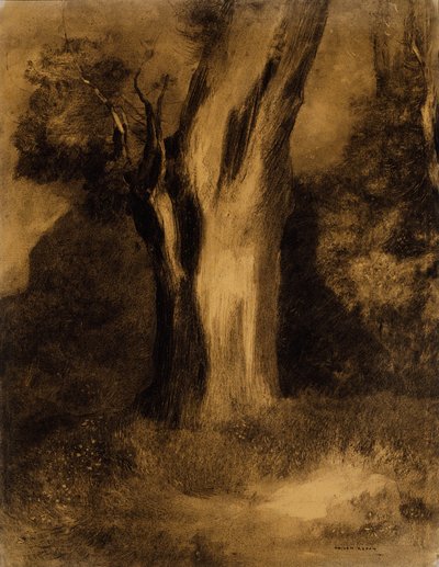 ツリー 作： Odilon Redon