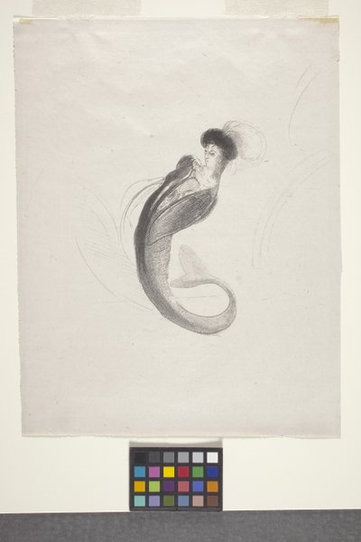 Sem título (litografia sobre papel chine volant) 作： Odilon Redon