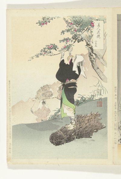 山さくらんぼ狩りの女 美人と花の対比（連載タイトル） 美人花くらべ 作： Ogata Gekko