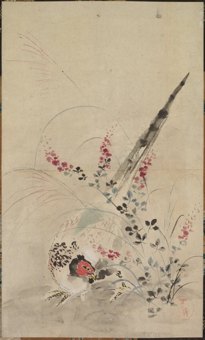 雉と草 作： 尾形光琳